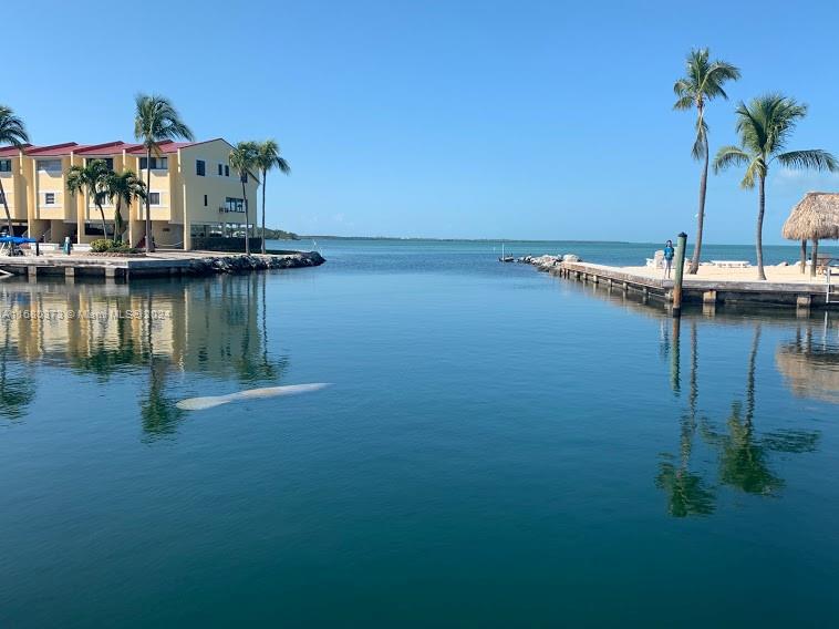 a view of a lake with boats and palm trees