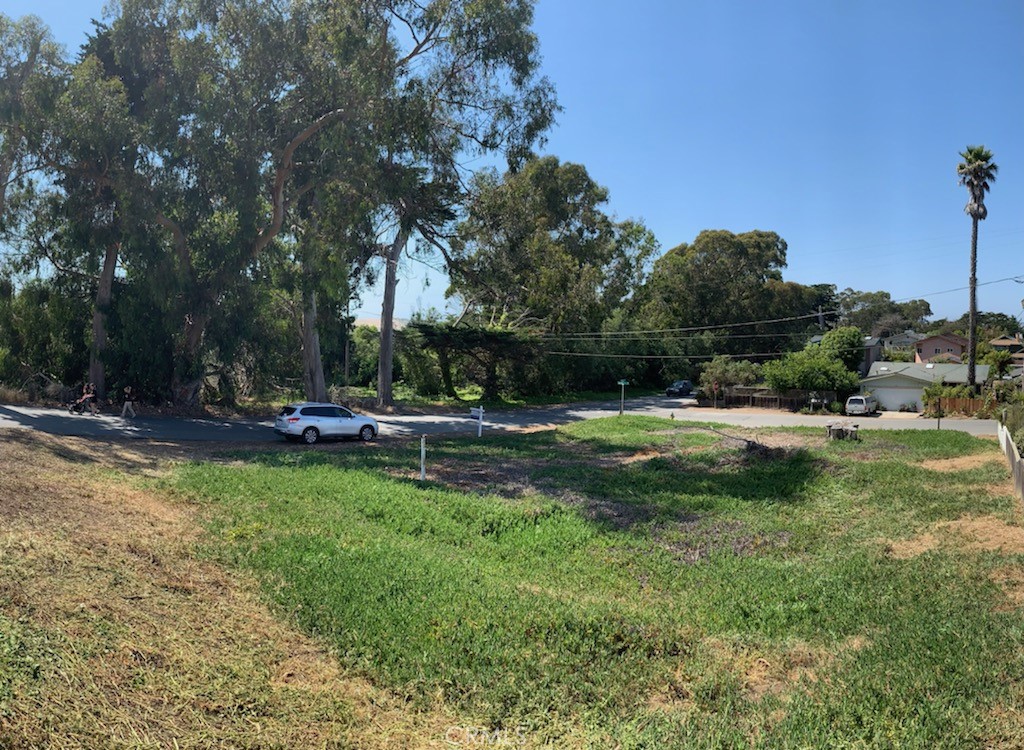 a view of a park with large trees