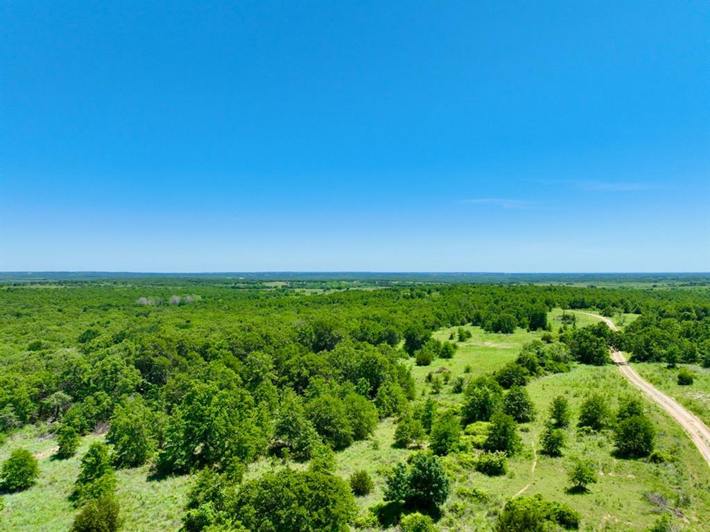 a view of yard with green space