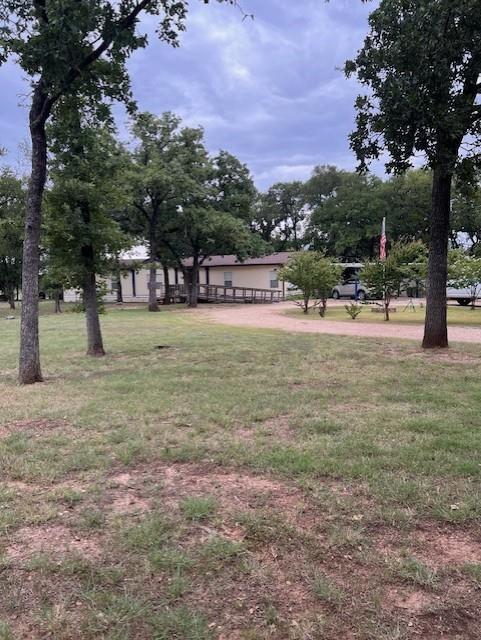 a view of a yard with a tree