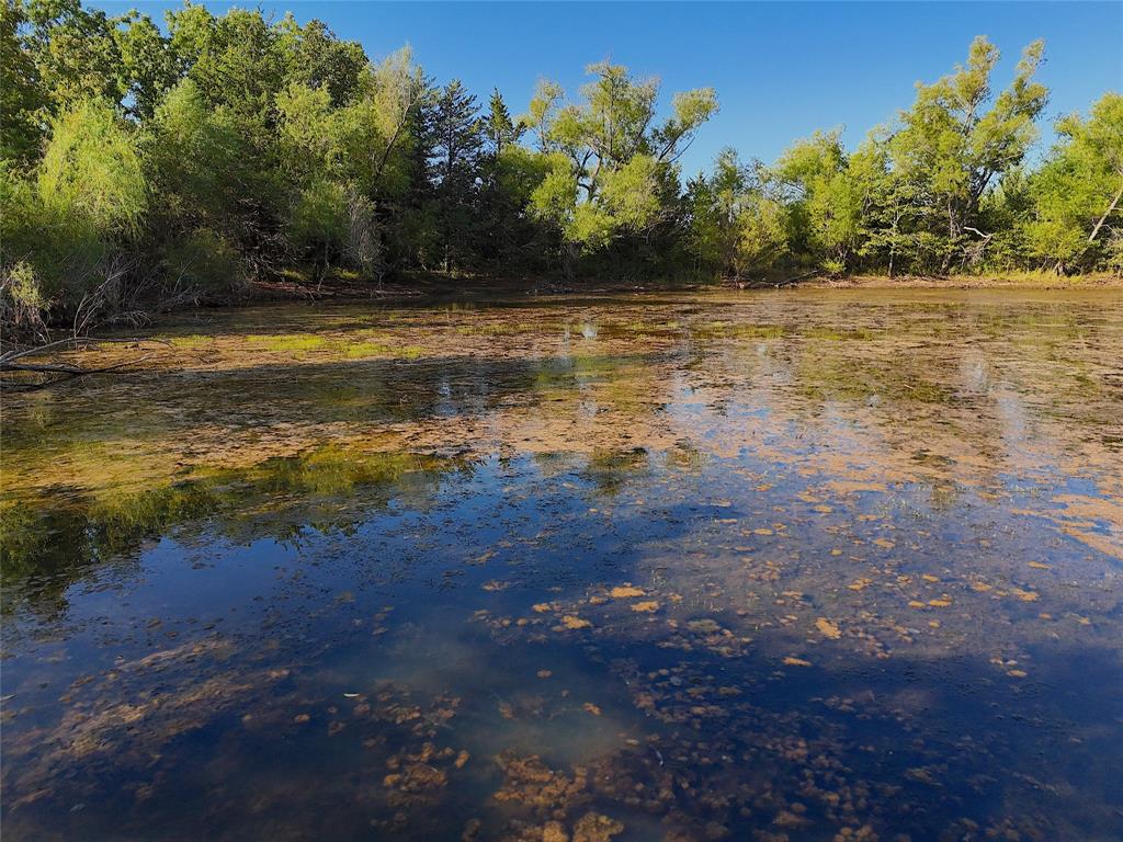 a view of a lake with a yard