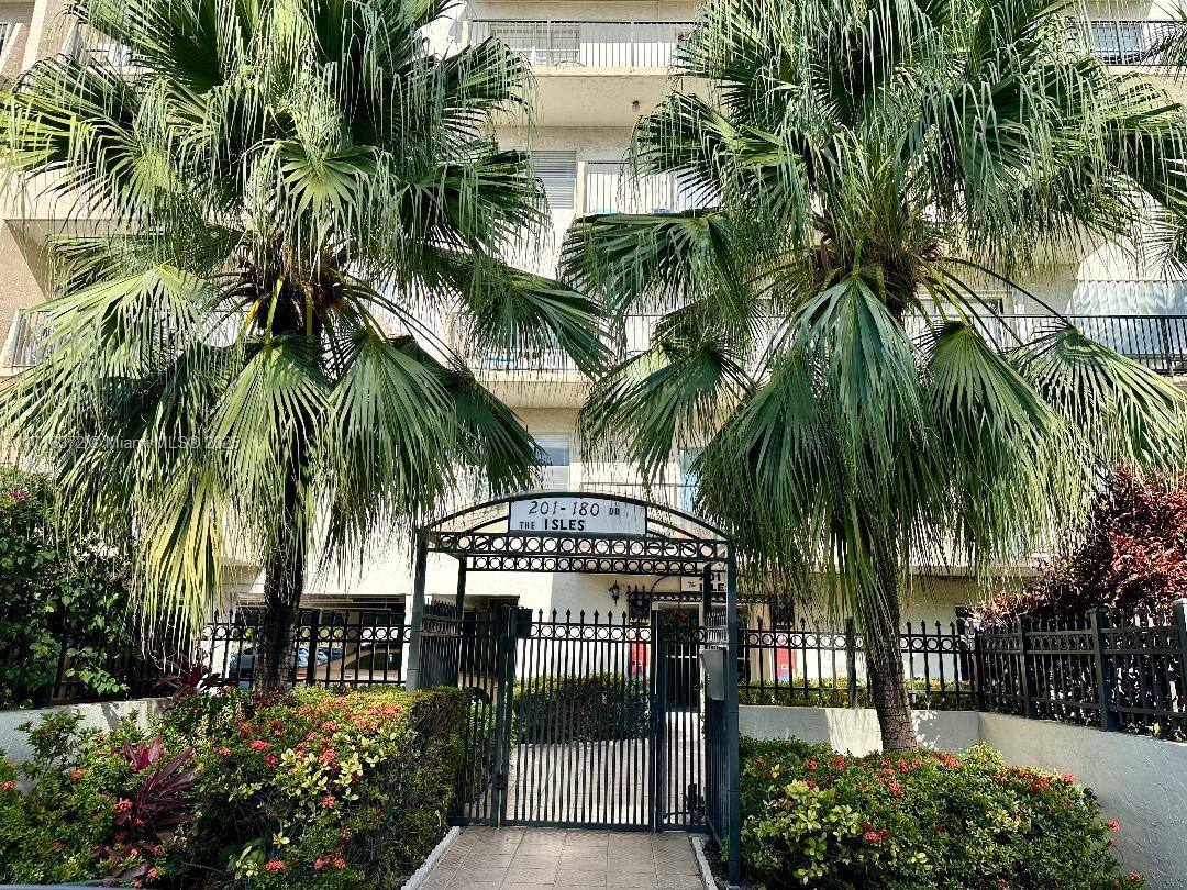 a view of a park with a palm tree