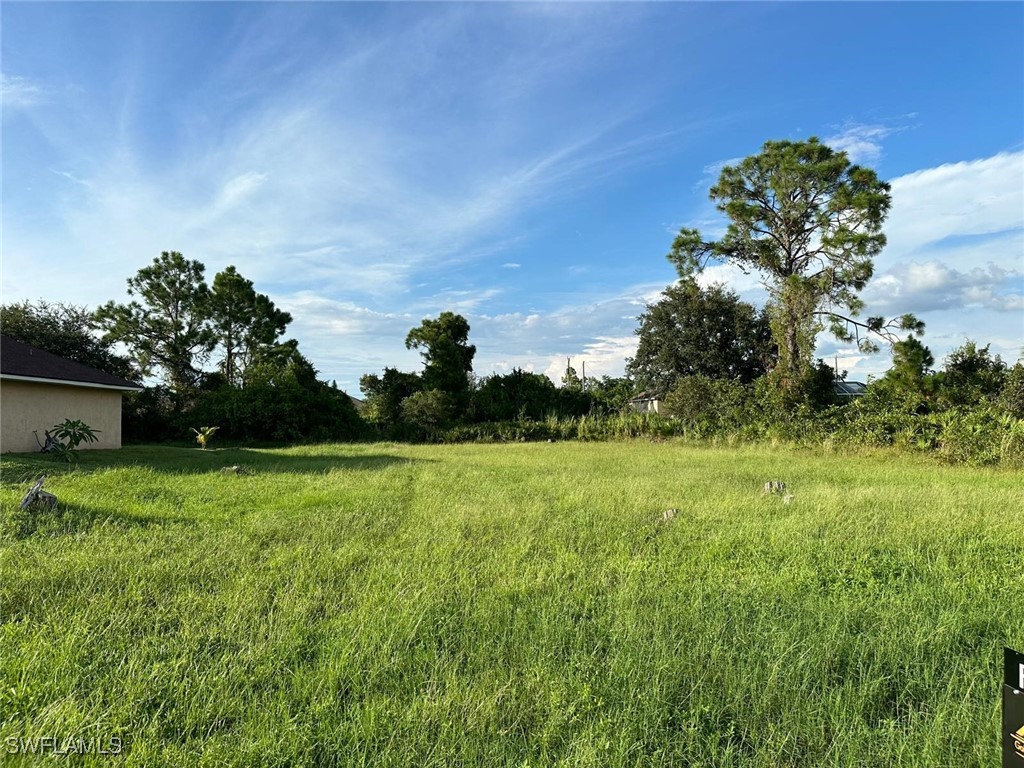 a view of a field of grass and trees