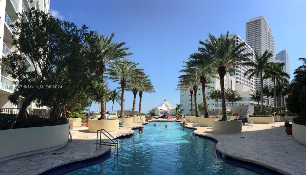 a view of swimming pool with chairs and palm tree