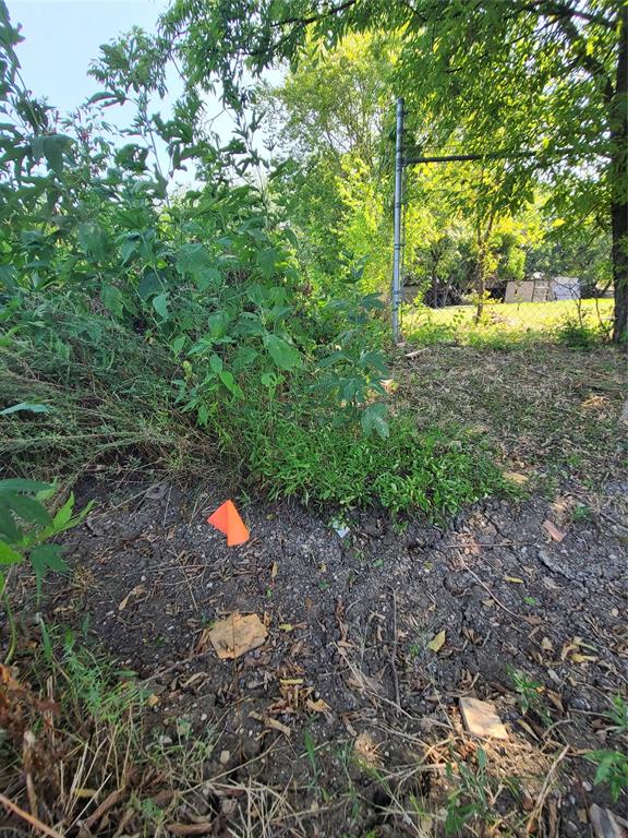 a view of a yard with a tree