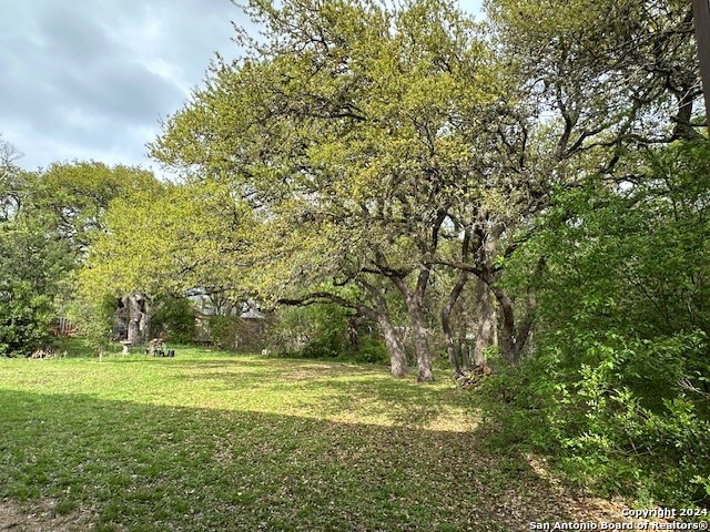 a view of a green field