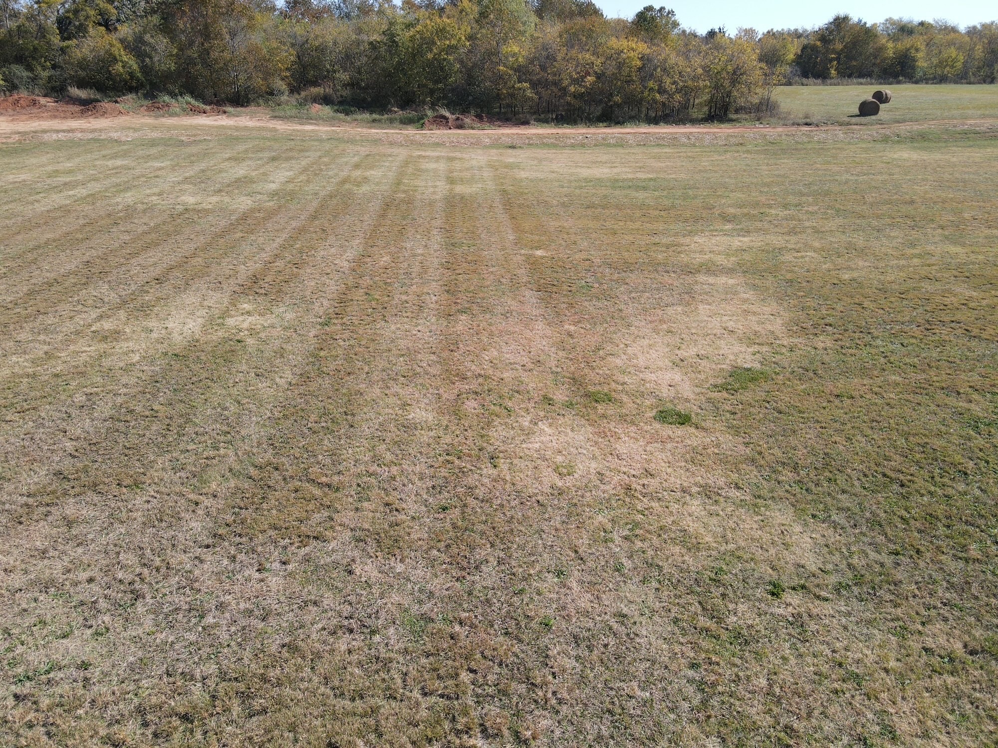 a view of a field with trees in the background