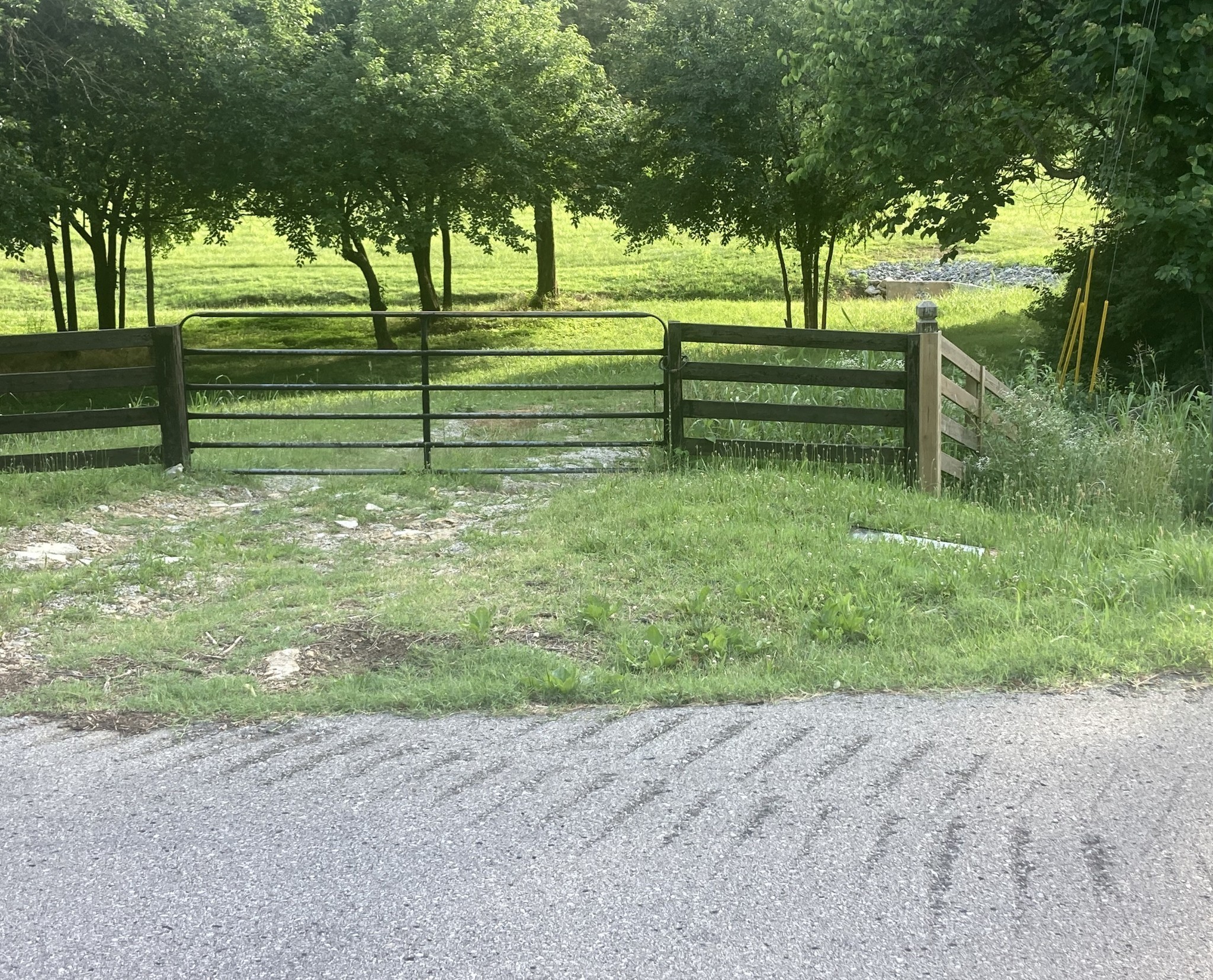 a view of backyard with green space