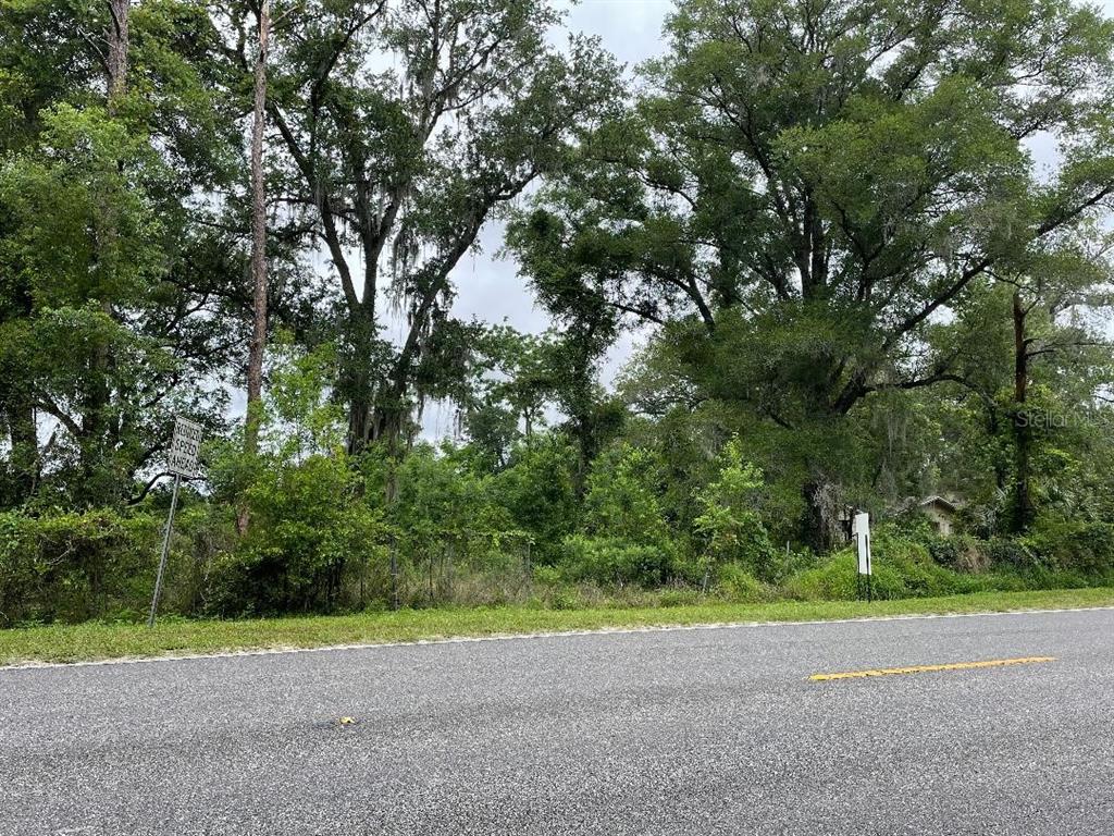 a view of a yard with a tree