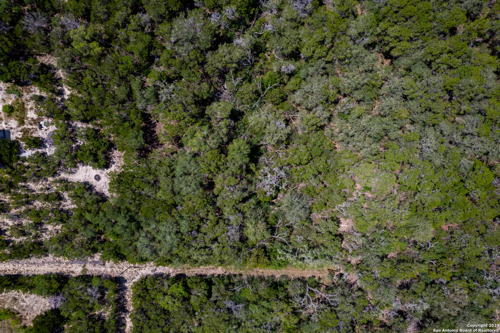 a view of a large yard with lots of bushes