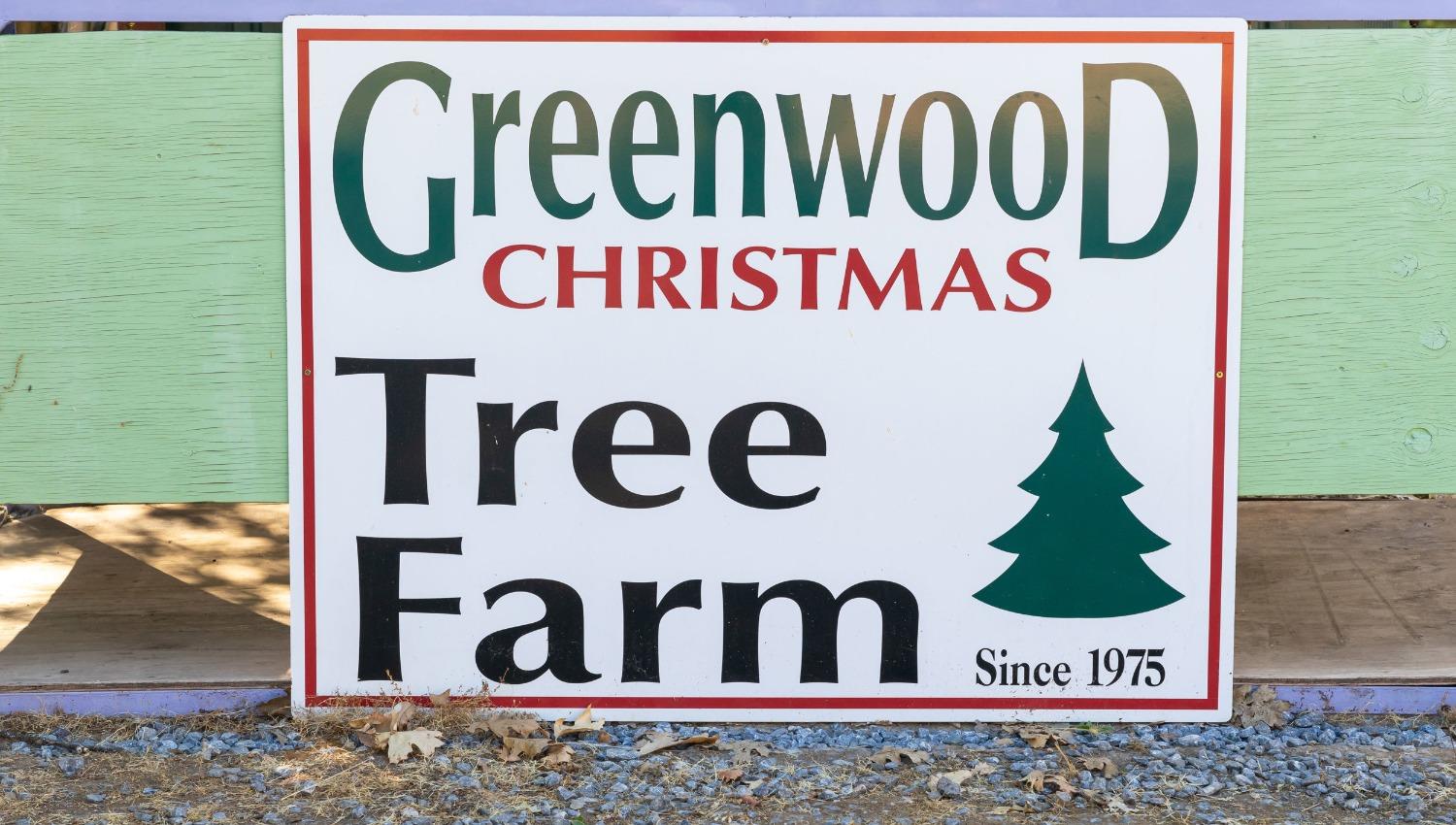 Welcome to Greenwood Christmas Tree Farm!!