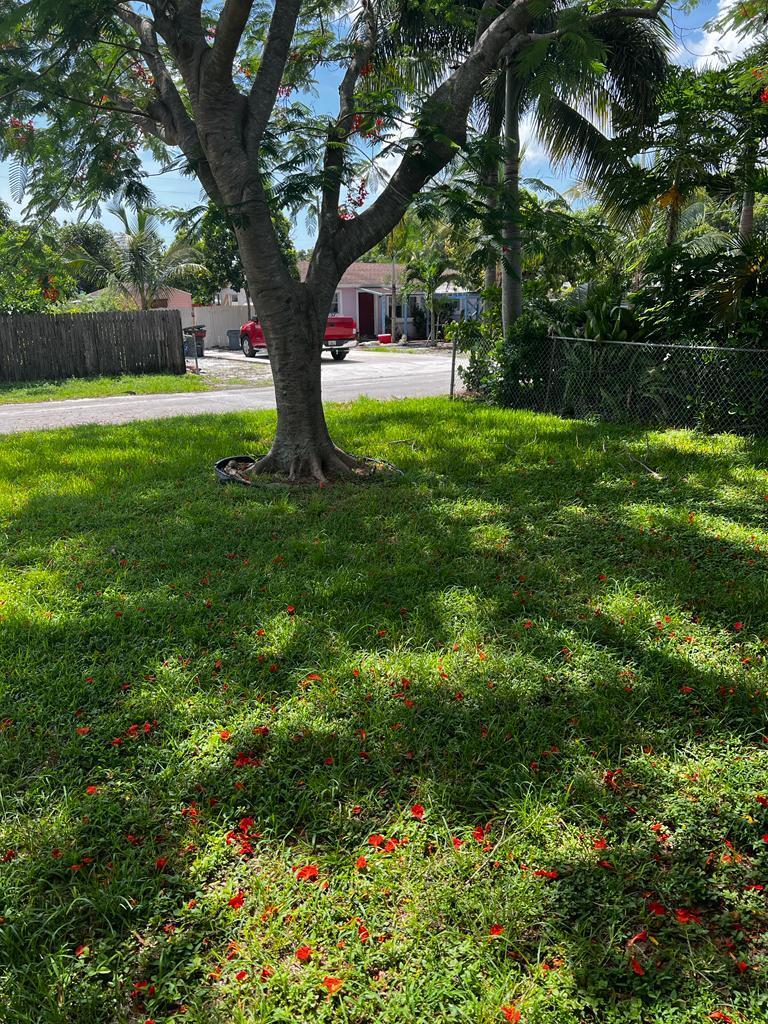 a big yard with lots of green space and palm trees