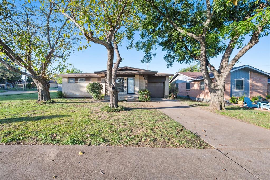 a front view of a house with a yard and a large tree