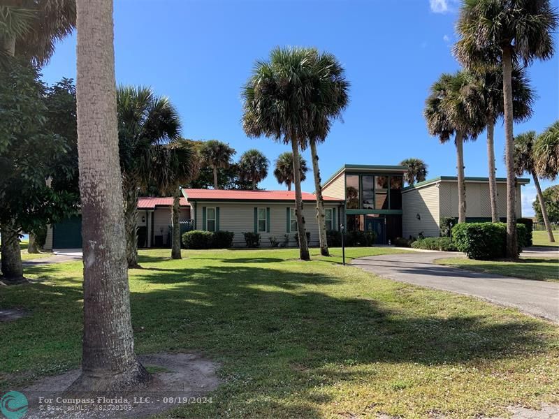 a house with palm tree in front of it