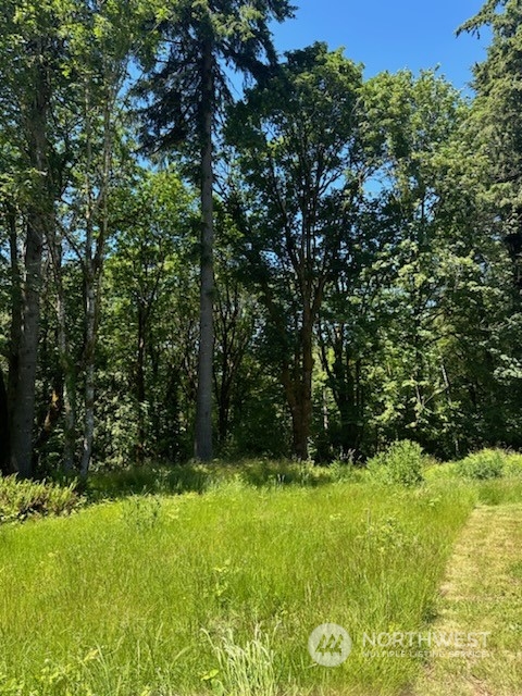 a view of an outdoor space and yard