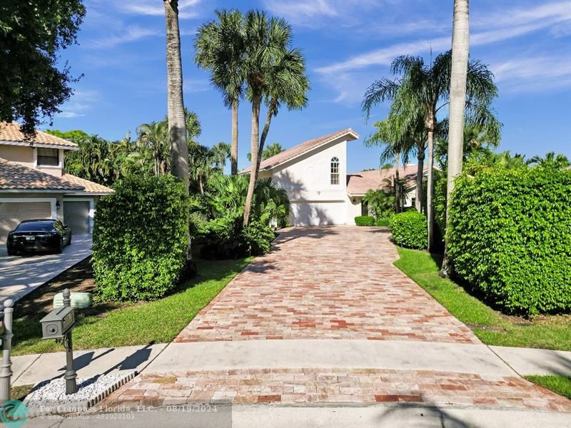 a view of a backyard with a plants and palm trees