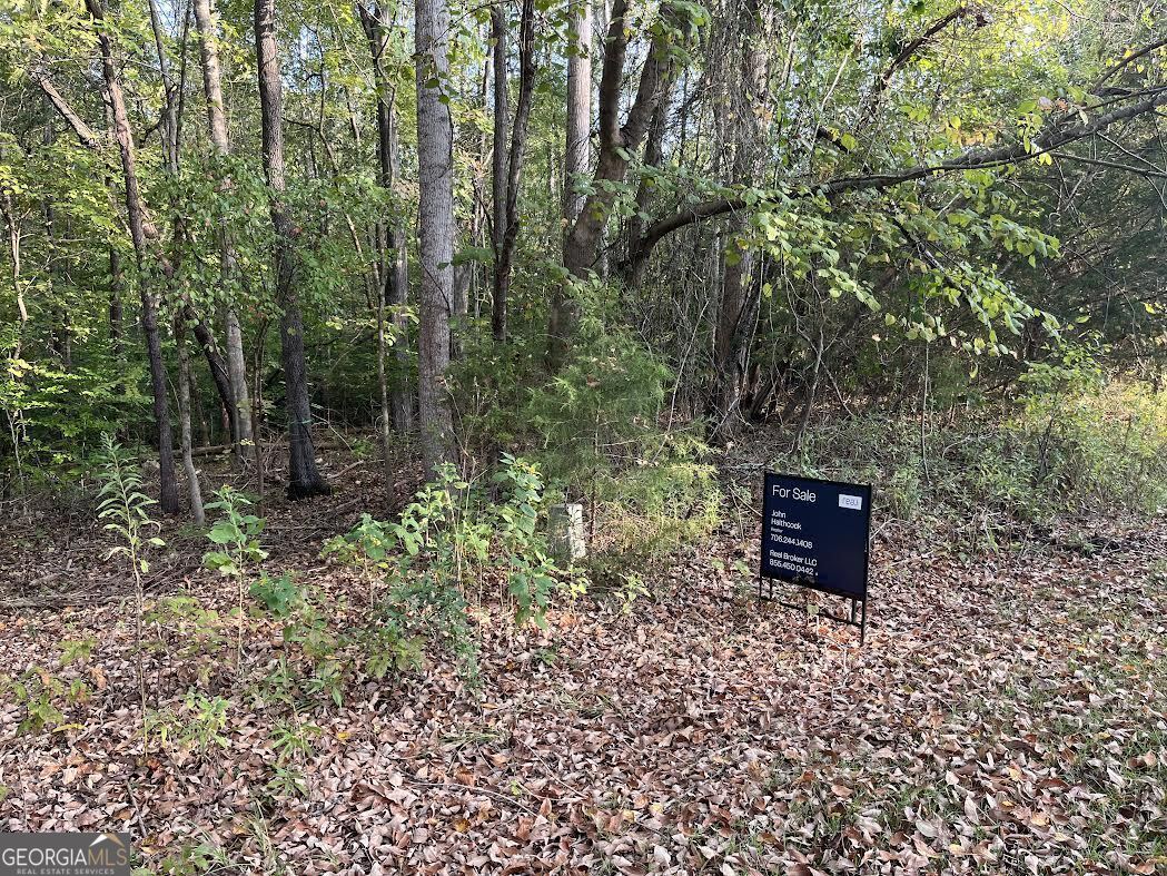 a area with lots of trees