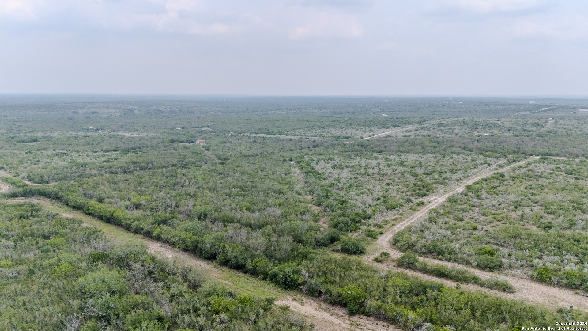 an aerial view of forest