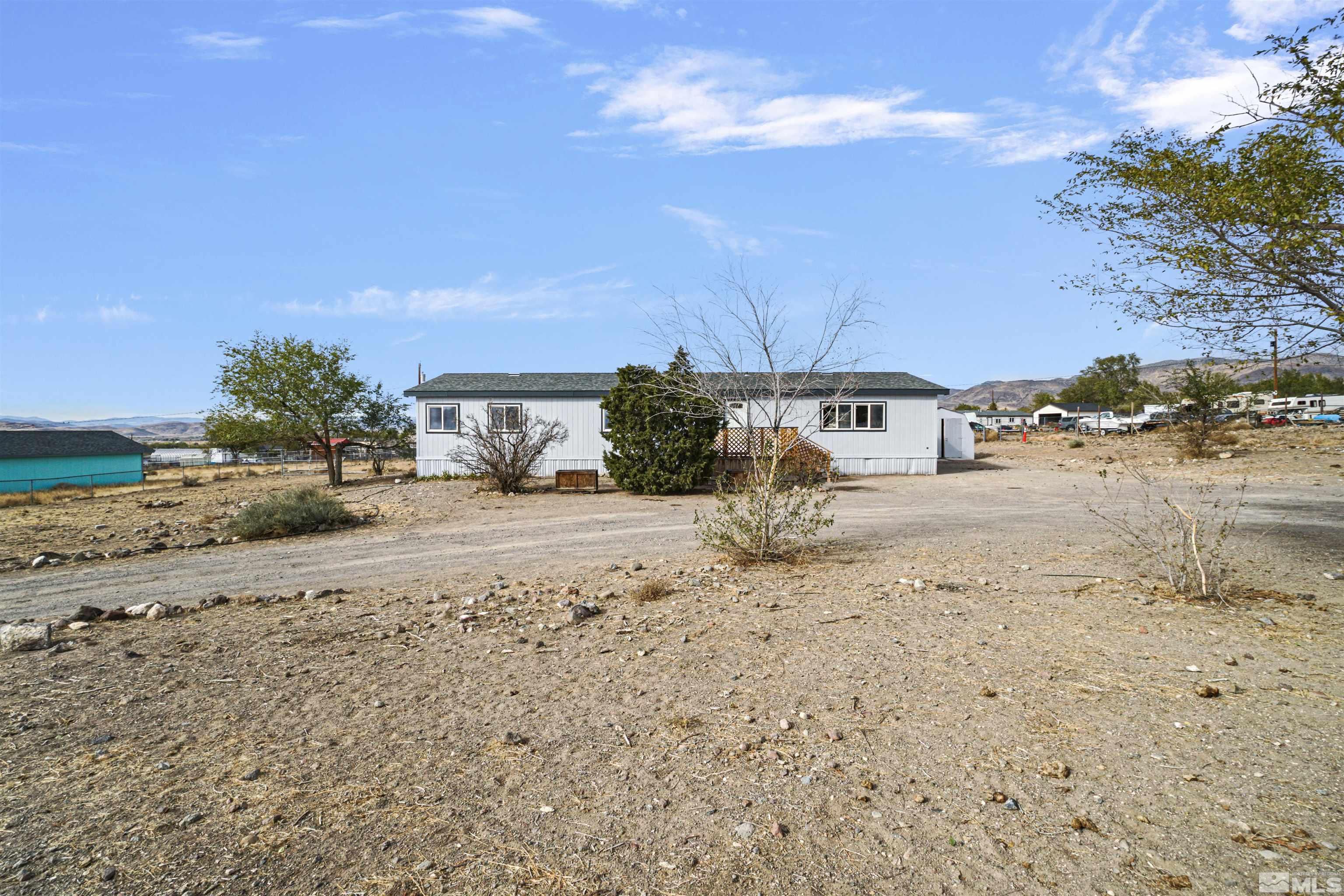 a view of small yard with large tree