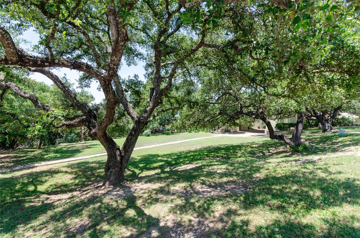 a view of backyard with green space