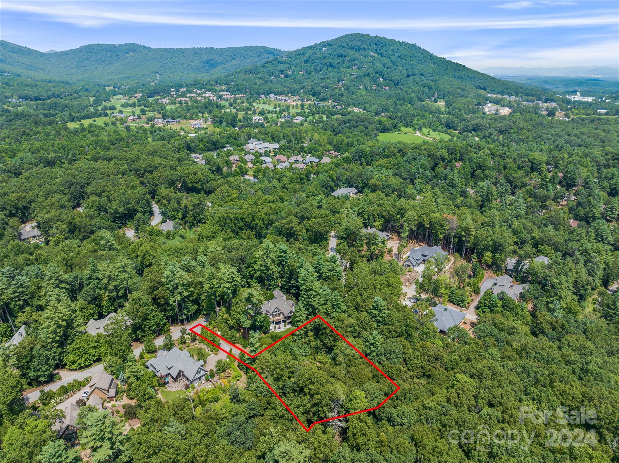 an aerial view of a houses with a lush green hillside