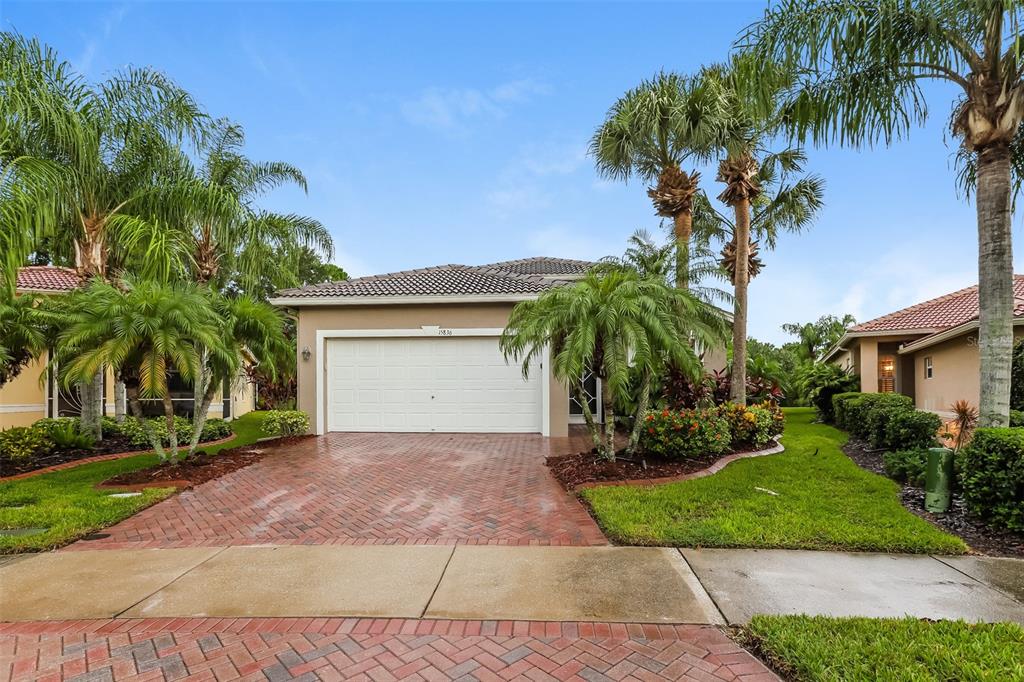 a view of a house with a yard and palm trees