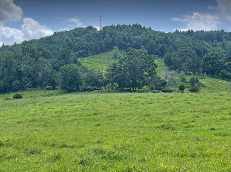 a view of green field with trees in the background