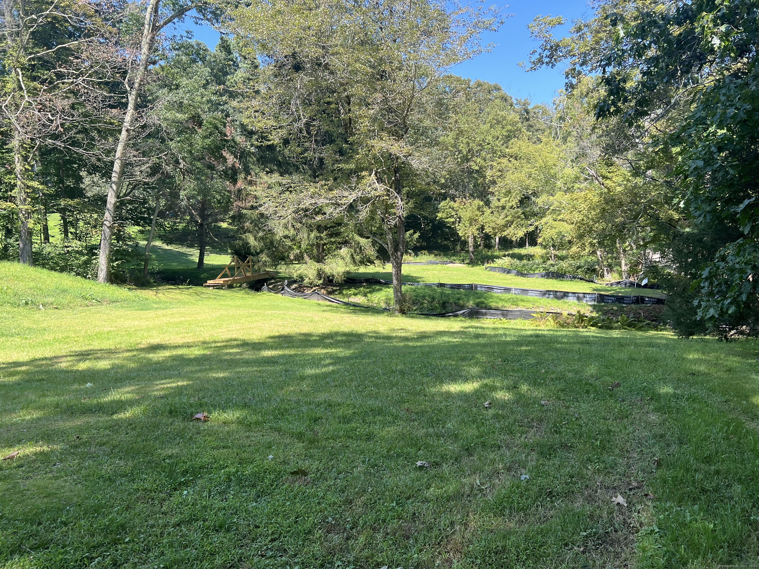 a view of a park with large trees