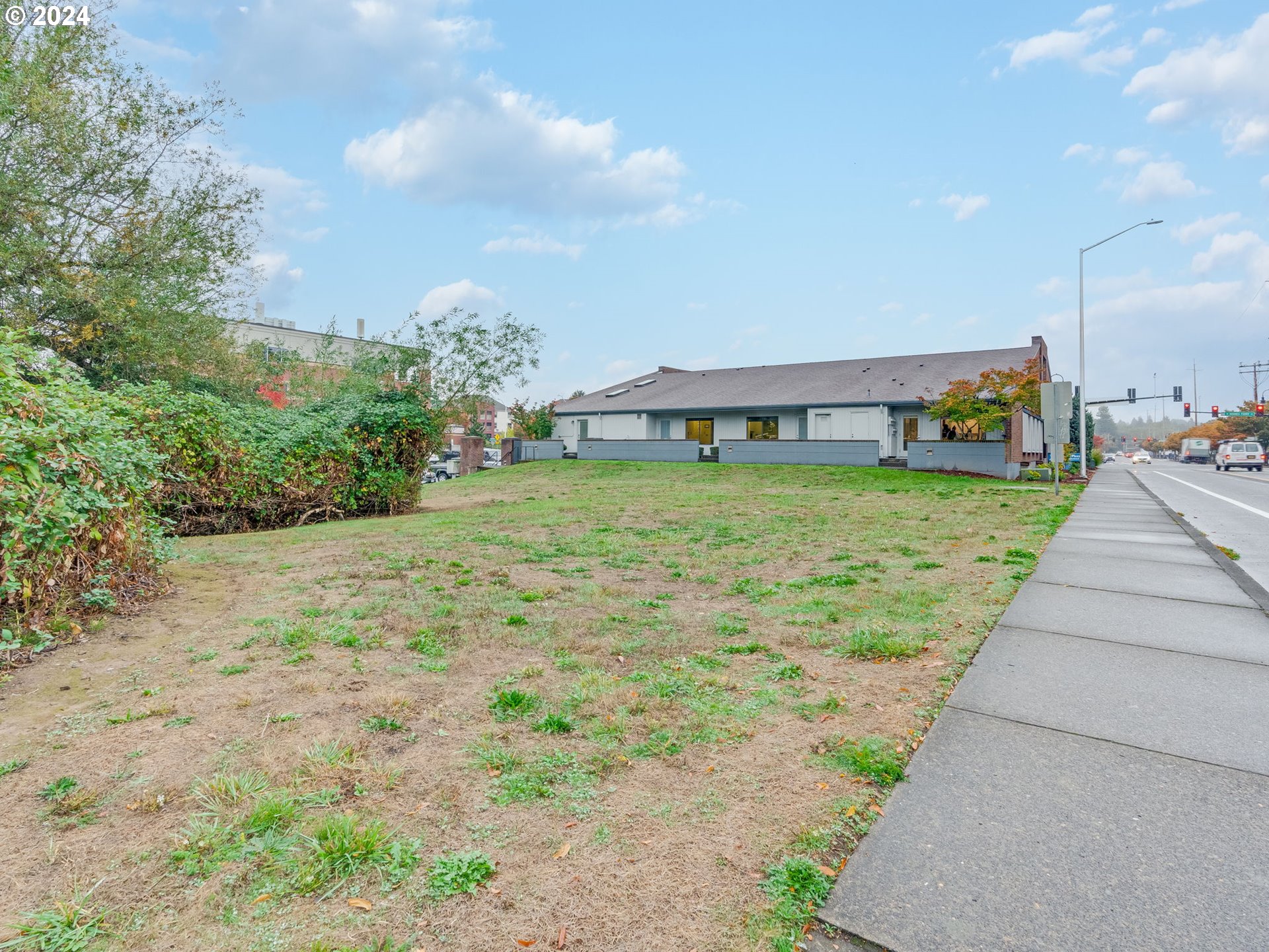 a view of a backyard