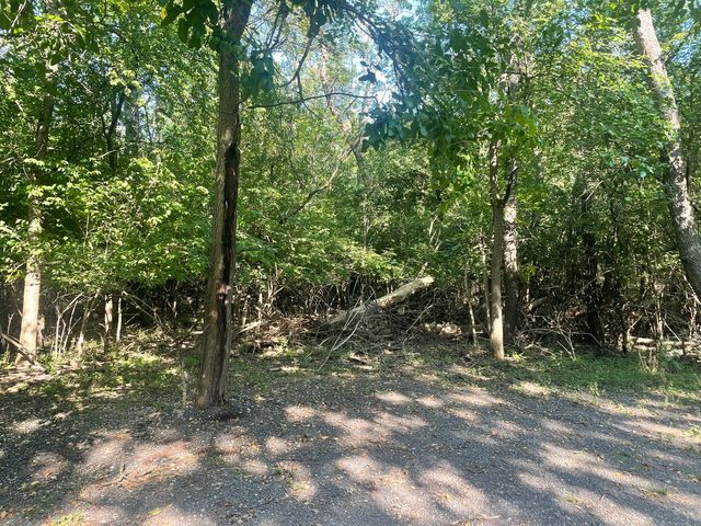 $19,000 | Lot 16 Manito Trail | Dundee