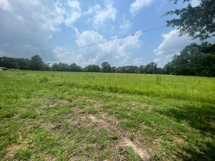 a view of yard with grass and trees