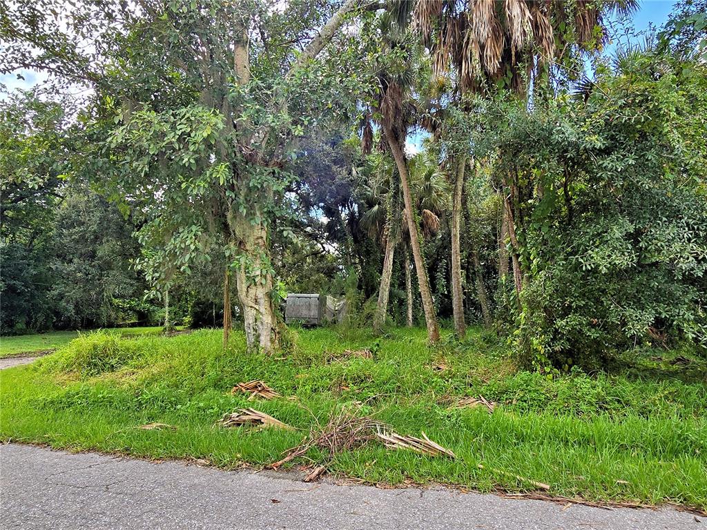 a green field with lots of trees