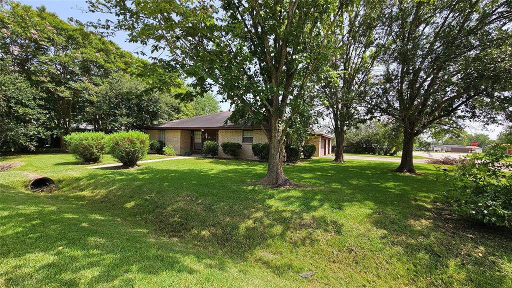 a view of a house with a yard and tree