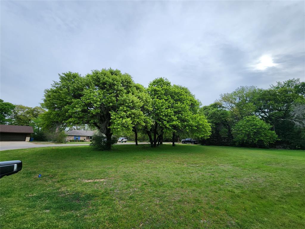 a view of a trees with a park