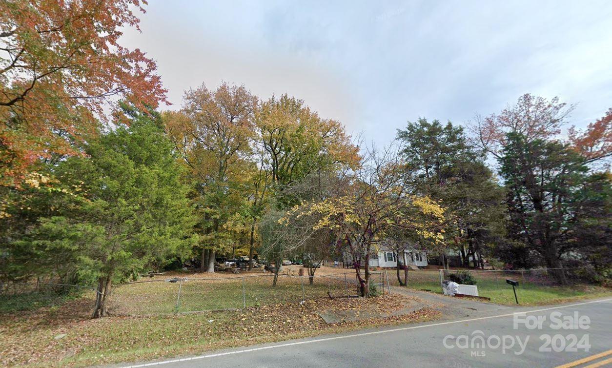 a view of a park with large trees