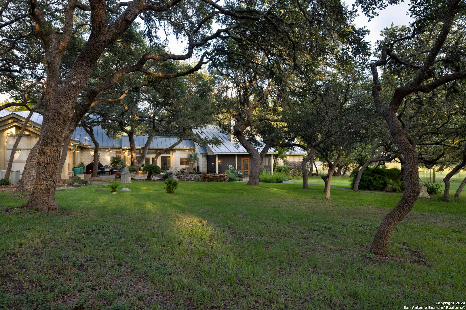 a view of a big yard with plants and large trees