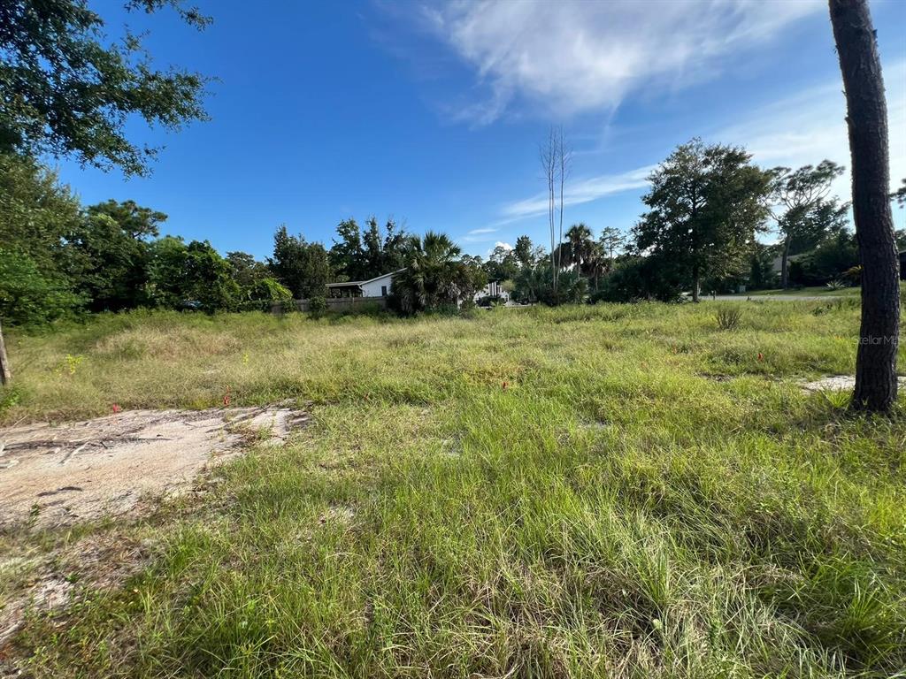 a view of a yard with an trees