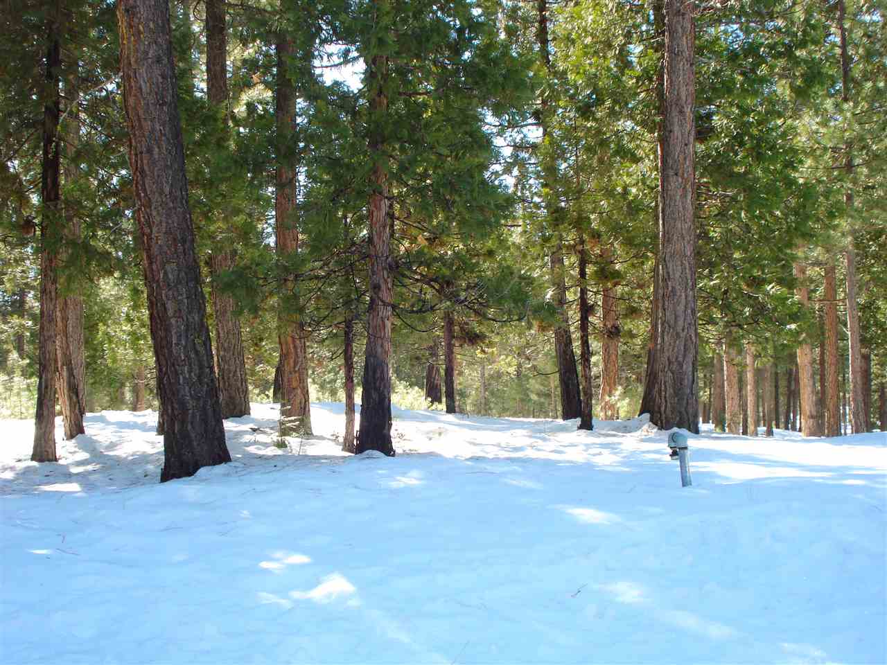 a view of road with trees