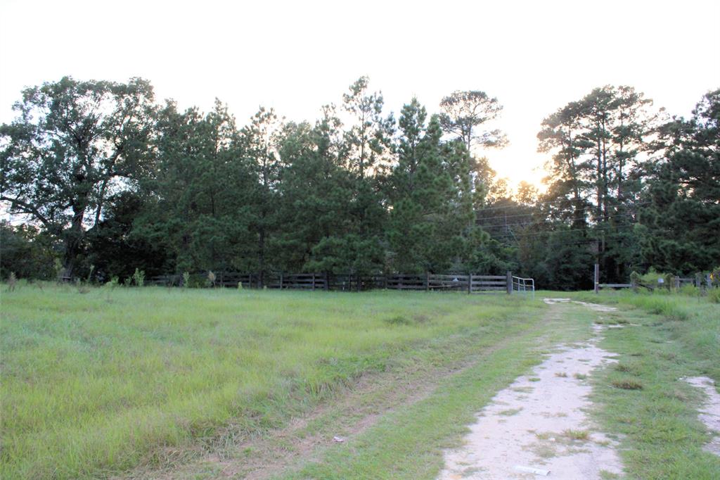 a view of a field with trees in background