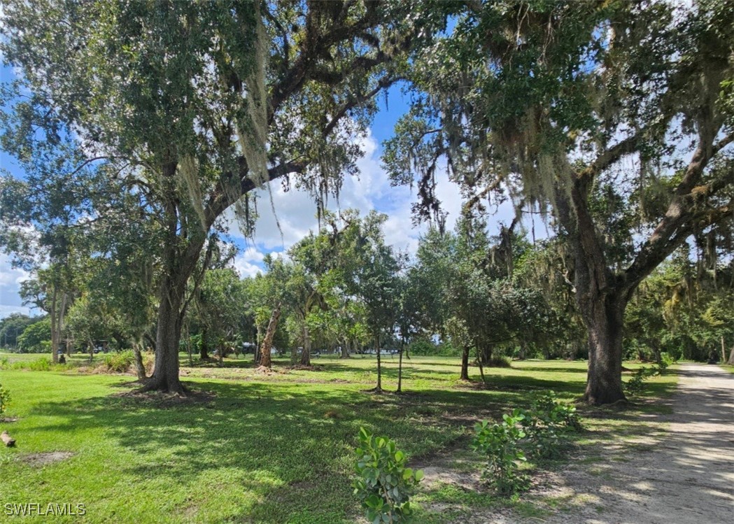 a green field with lots of trees