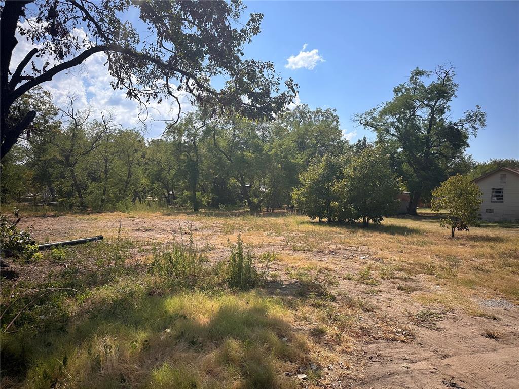 a view of a yard with trees