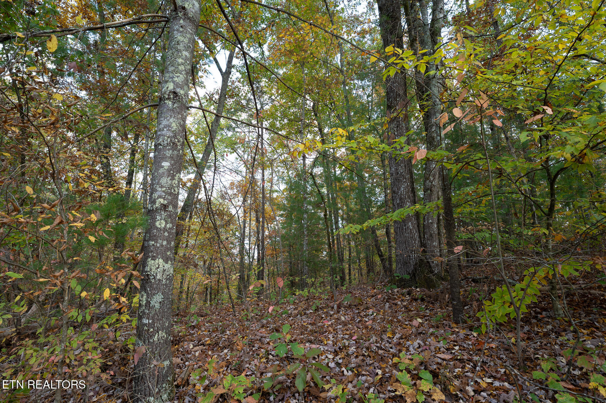 Lot 36 Lake Overlook