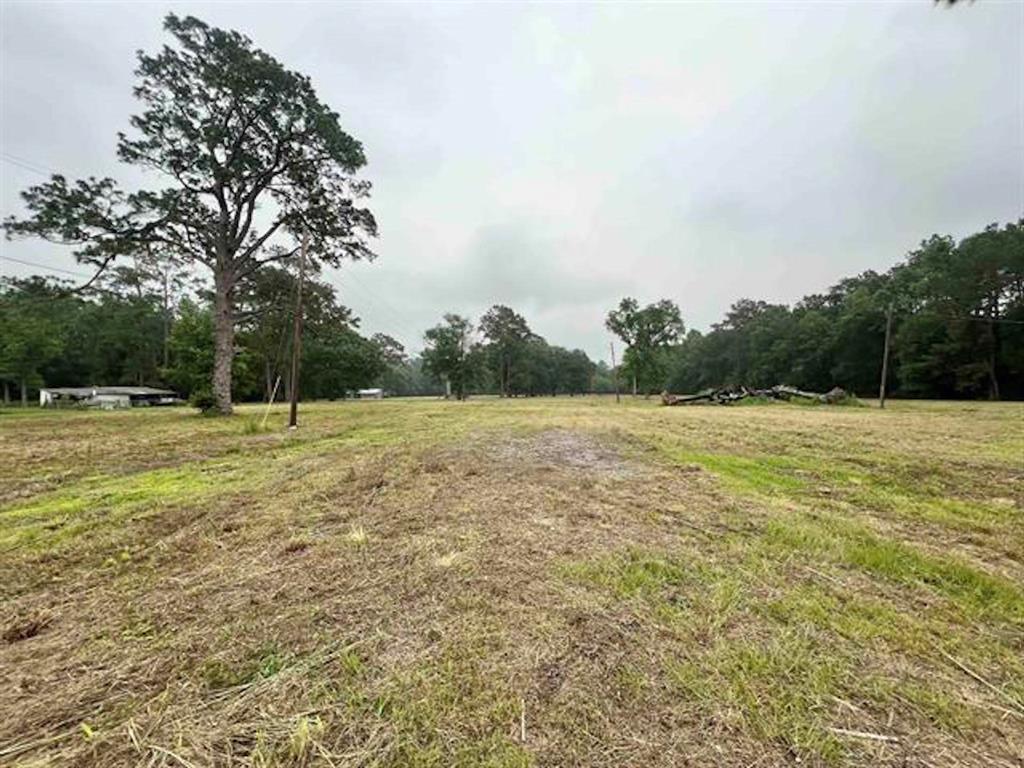 a view of a green field with trees in the background