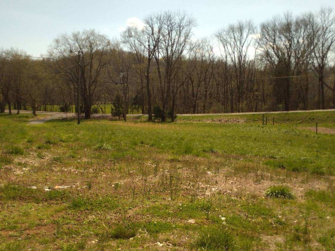 a view of a yard with trees