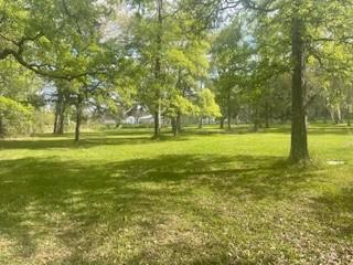 a view of a yard with a trees