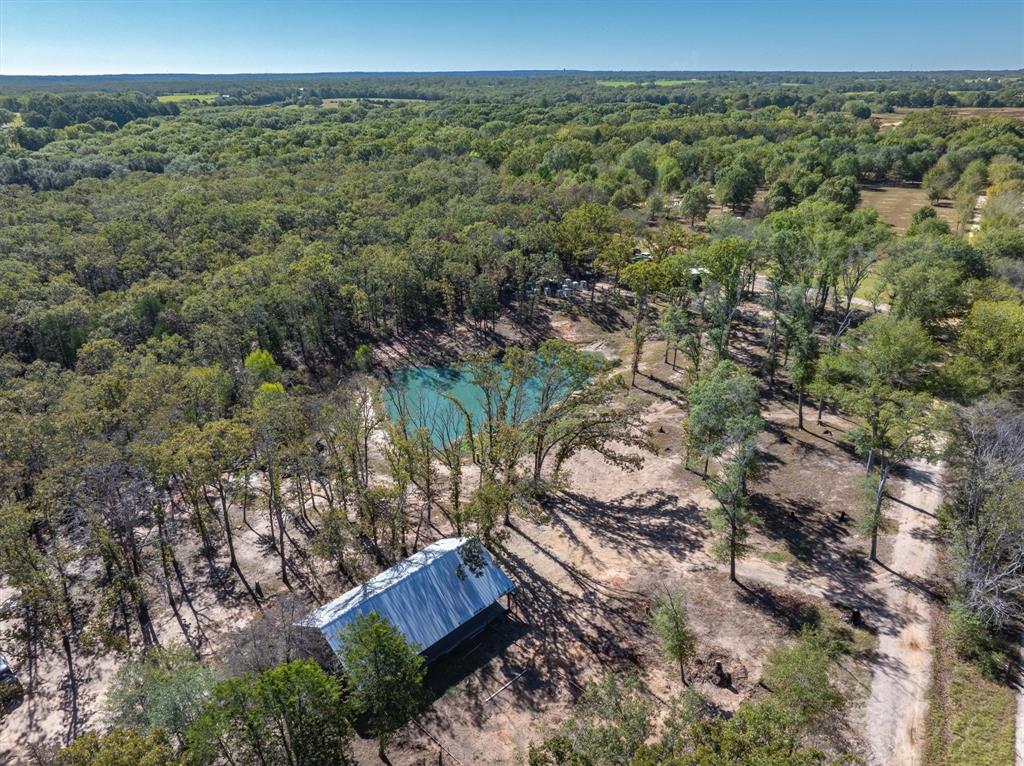 a view of a forest with a forest