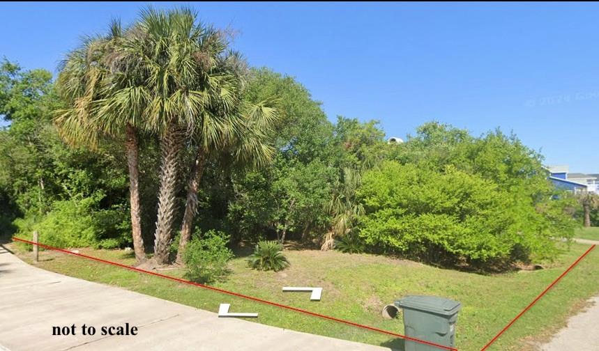 a view of a yard with plants