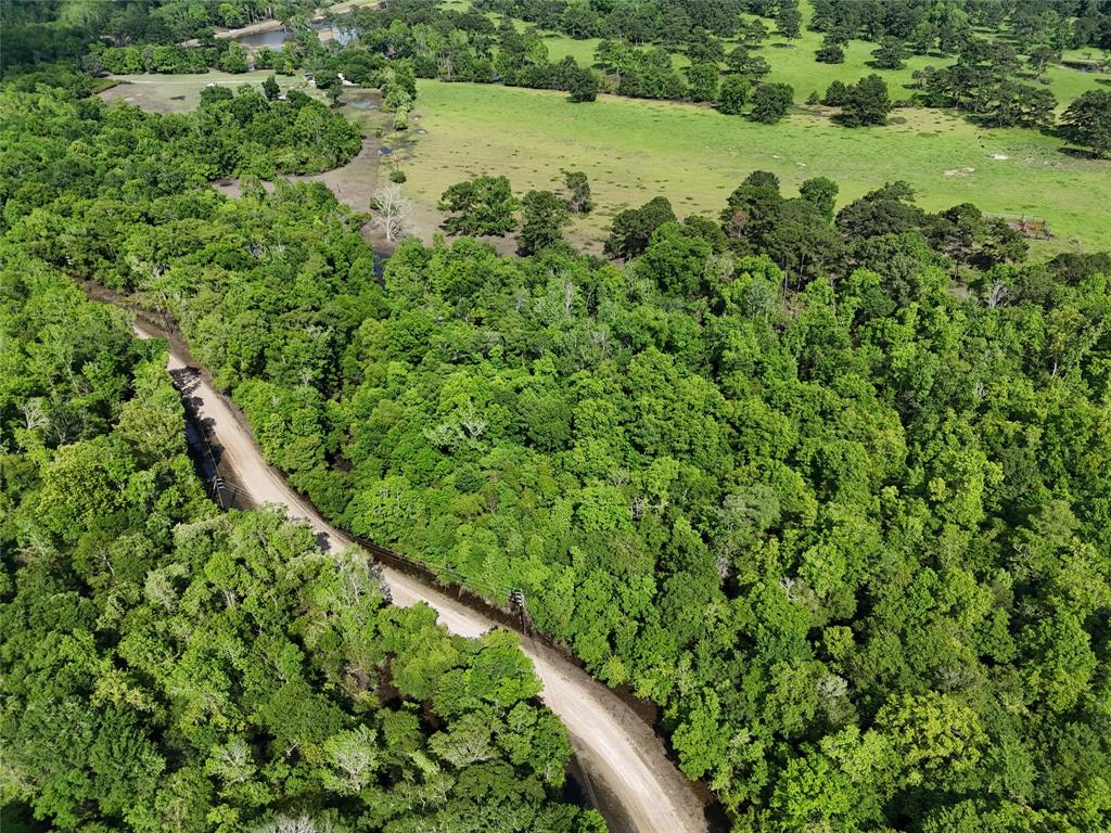 a view of a lush green forest with a lake