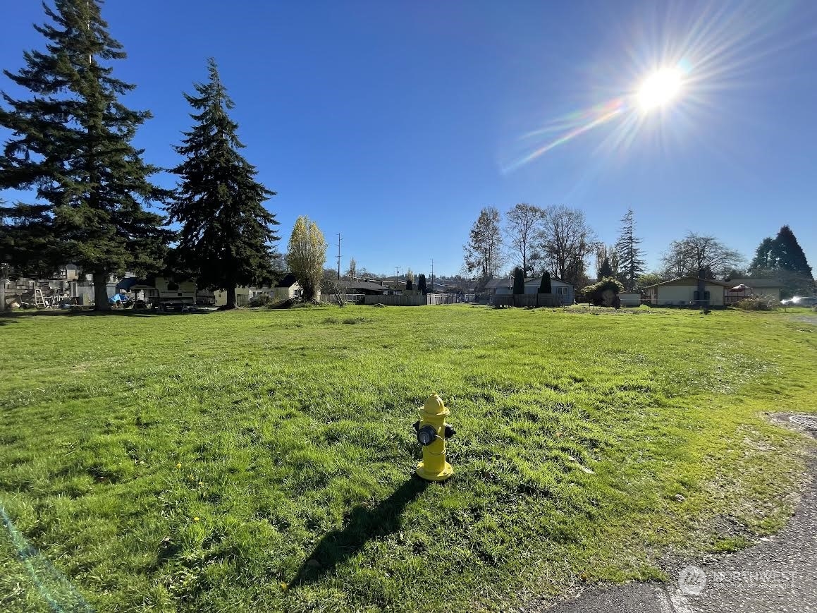 a view of a grassy field with an trees