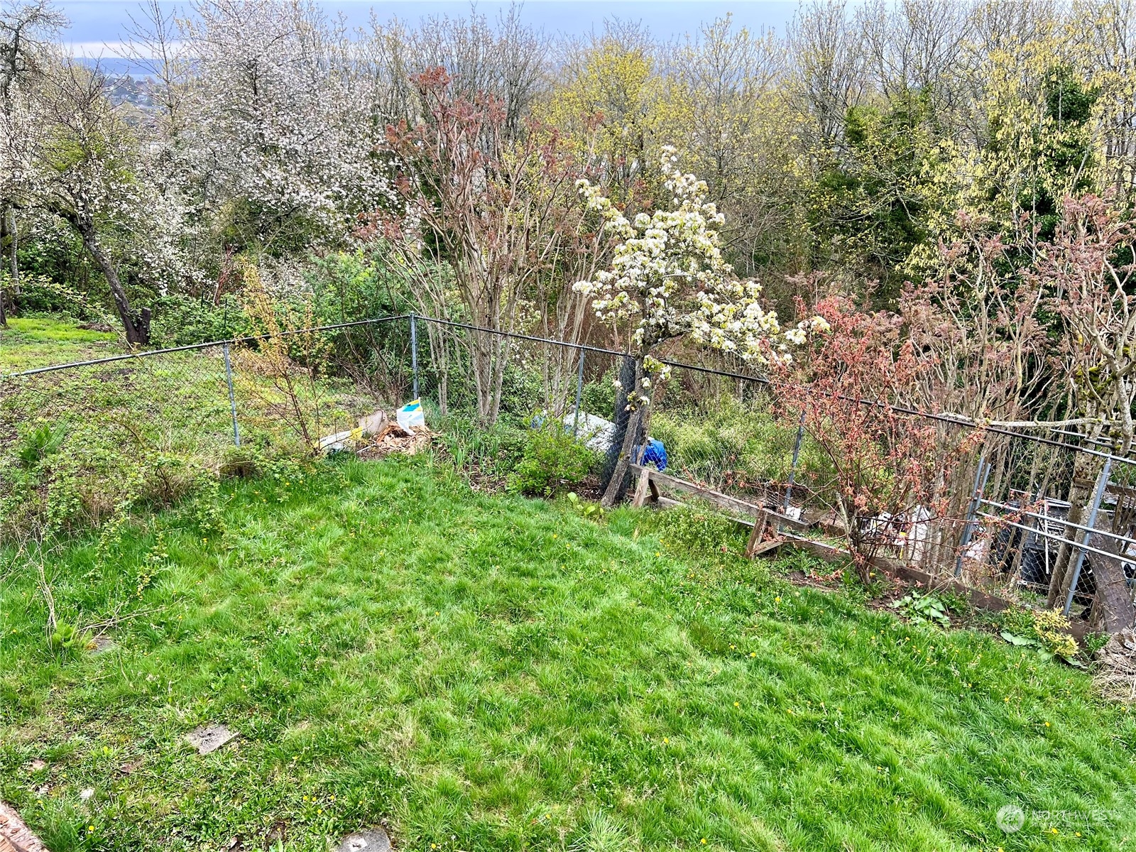 a view of yard with green space